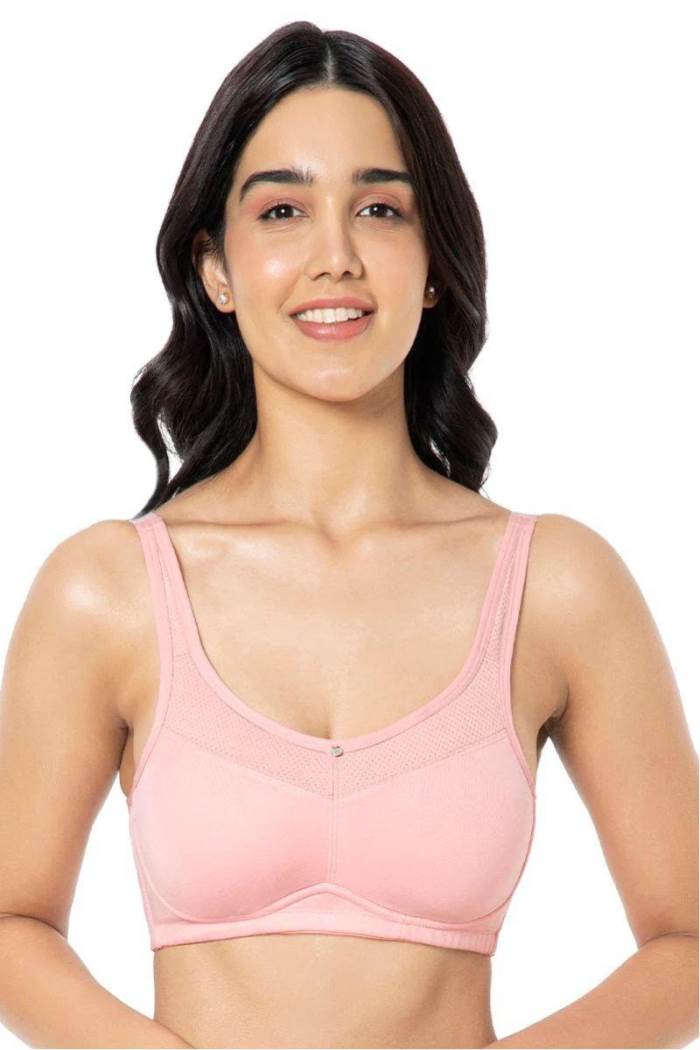 Amante Ultimo Vintage Floral Non-Padded Wired Bra Grape (40C) -  F0002C001434C in Vadodara at best price by Paneri Embroidery - Justdial